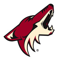 Arizona Coyotes